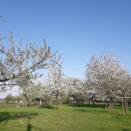 B&B Mussenzele Haaltert Dış mekan fotoğraf