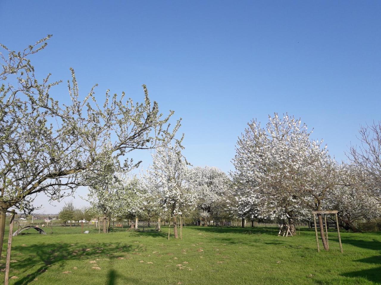 B&B Mussenzele Haaltert Dış mekan fotoğraf